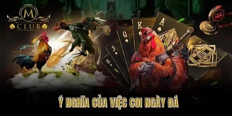 Ý Nghĩa Của Việc Coi Ngày Đá