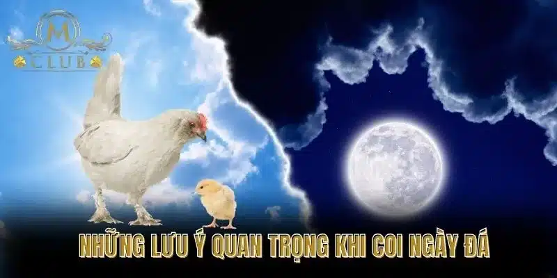 Những Lưu Ý Quan Trọng Khi Coi Ngày Đá