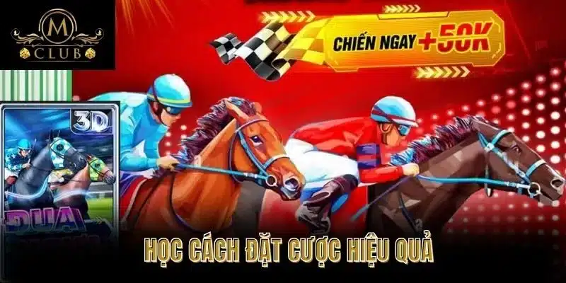 Học cách đặt cược hiệu quả