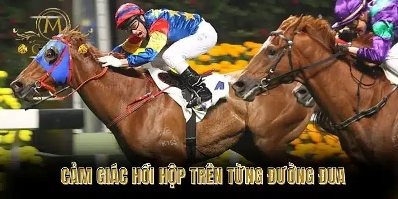 Cảm giác hồi hộp trên từng đường đua