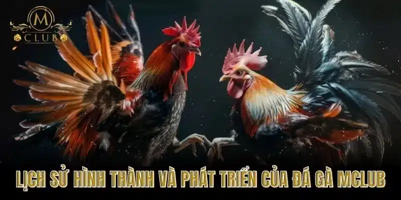 Lịch sử hình thành và phát triển của Đá gà MClub