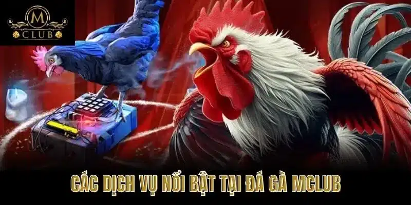 Các dịch vụ nổi bật tại Đá gà MClub
