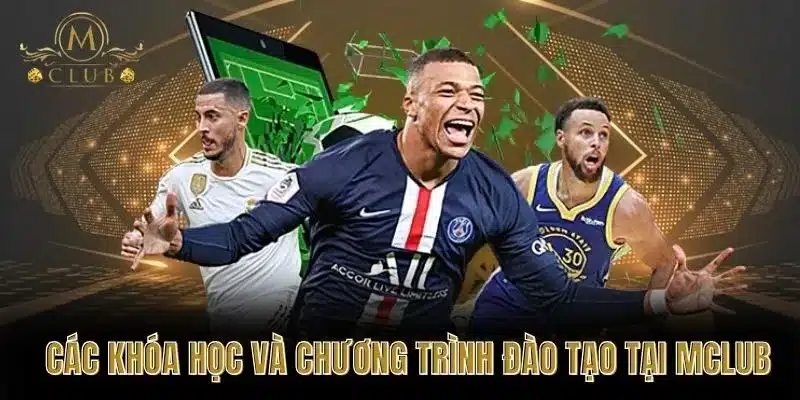 Các khóa học và chương trình đào tạo tại MClub